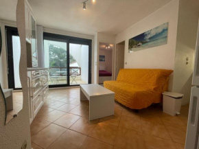 Appartement T2 avec Terrasse à 300m de la Plage de Saint-Georges-de-Didonne - FR-1-550-32